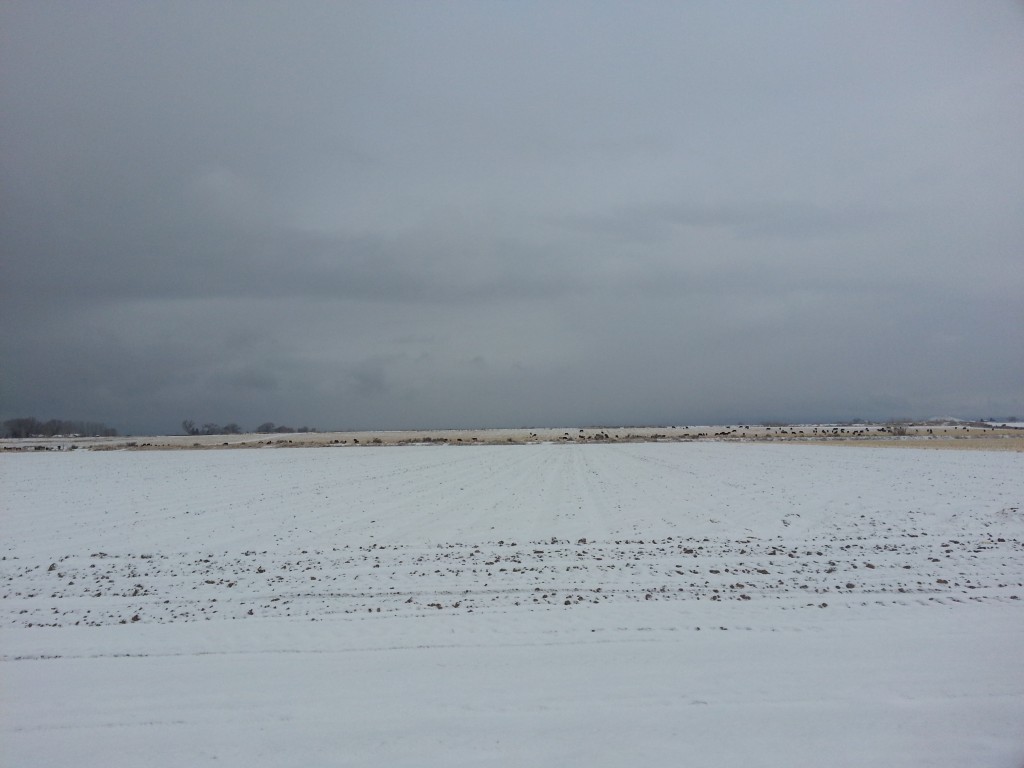 Winter | The Wood Grain Cottage