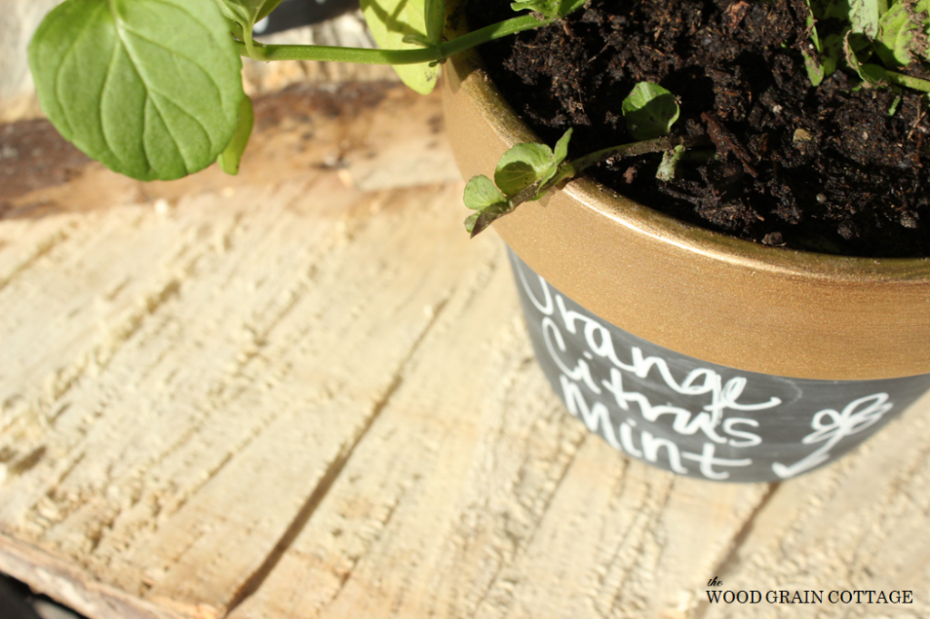 Gold Rimmed Chalkboard Pots by The Wood Grain Cottage