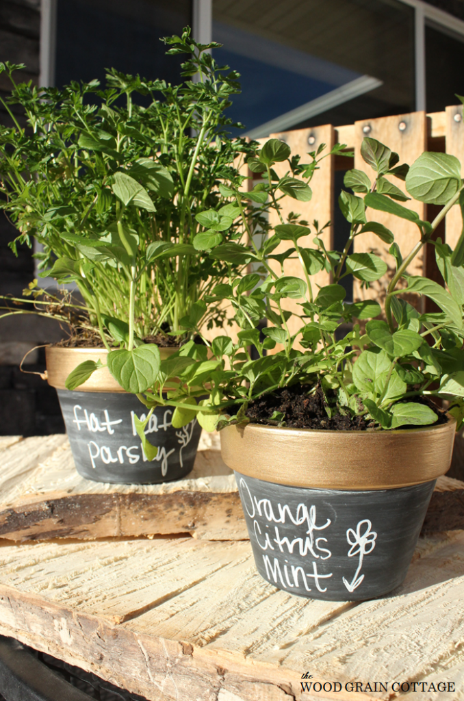 Gold Rimmed Chalkboard Pots by The Wood Grain Cottage