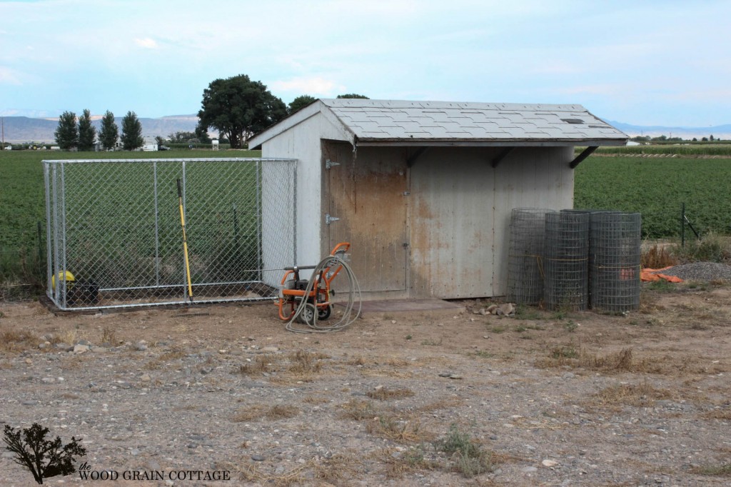 Shed Makeover by The Wood Grain Cottage