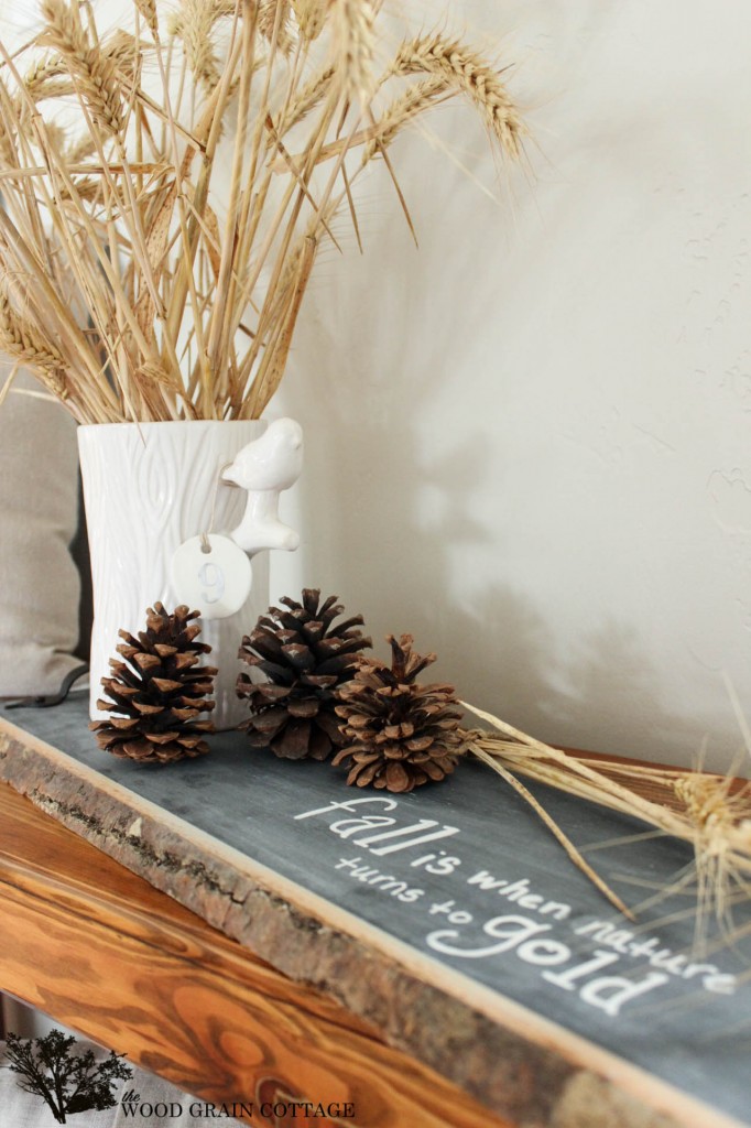 1 Tray, 5 Ways by The Wood Grain Cottage