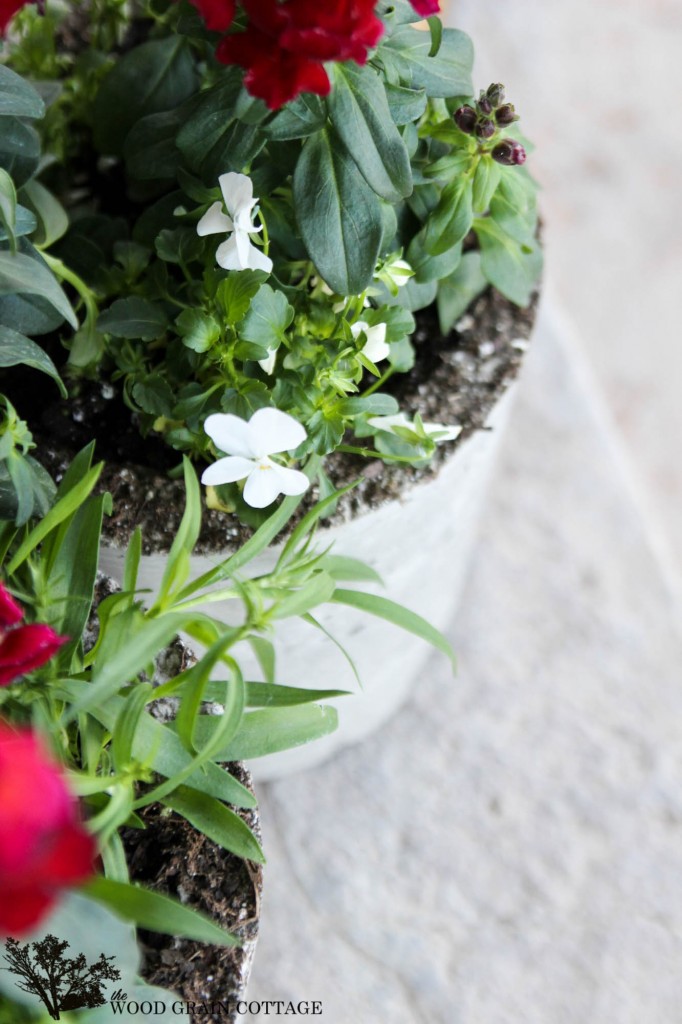 Large Concrete Pots by The Wood Grain Cottage.com