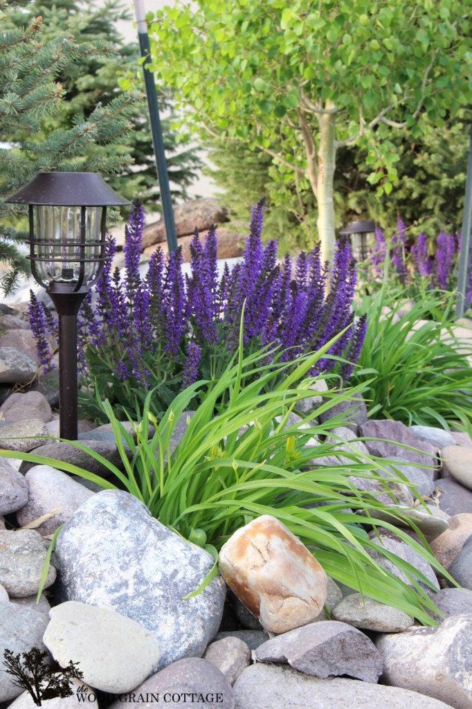 Outside at The WGC  by The Wood Grain Cottage