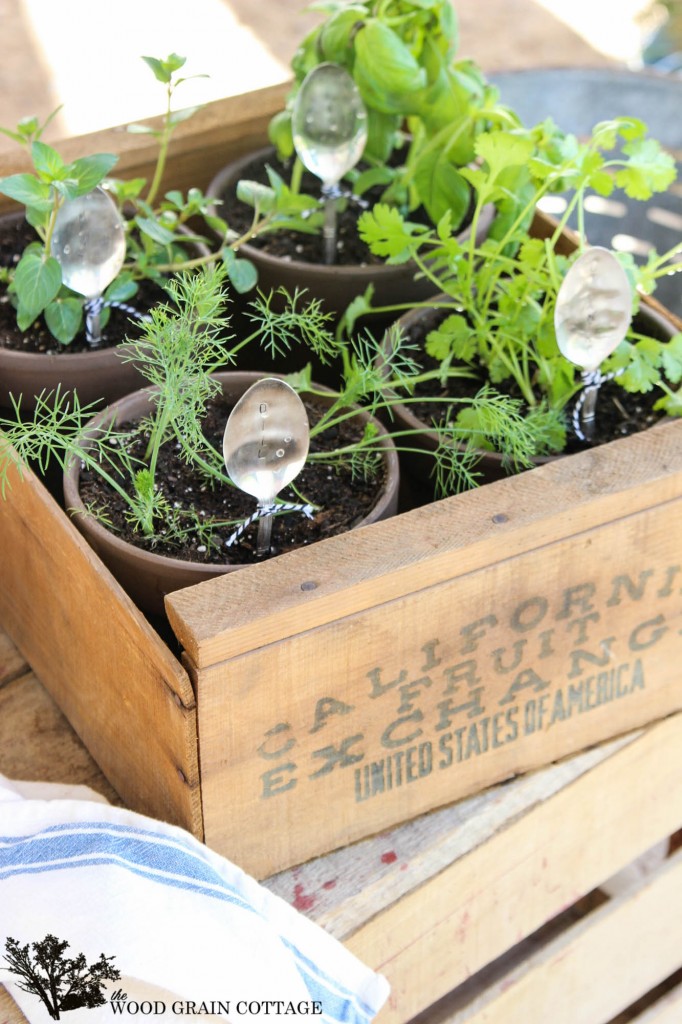 Fruit Crate Herb Garden by The Wood Grain Cottage