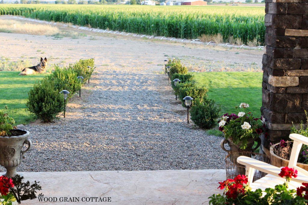 Boxwood Walkway by The Wood Grain Cottage