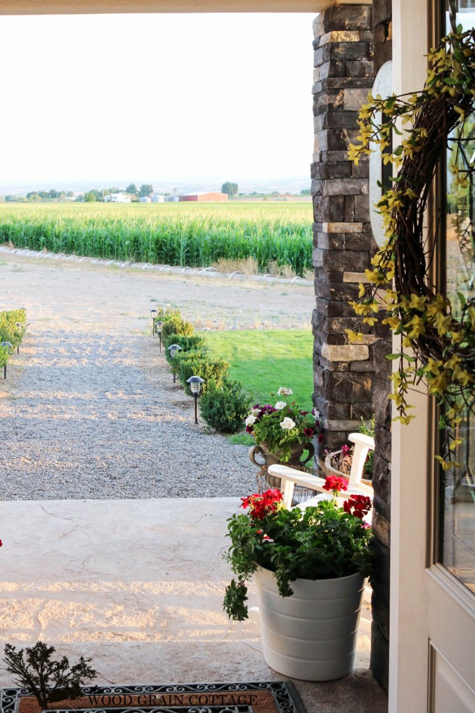 Boxwood Walkway by The Wood Grain Cottage