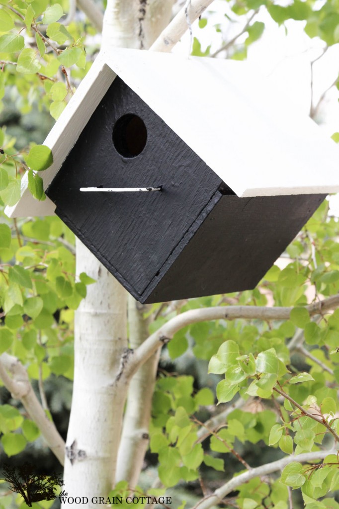 Bird House Makeover. Full tutorial by The Wood Grain Cottage