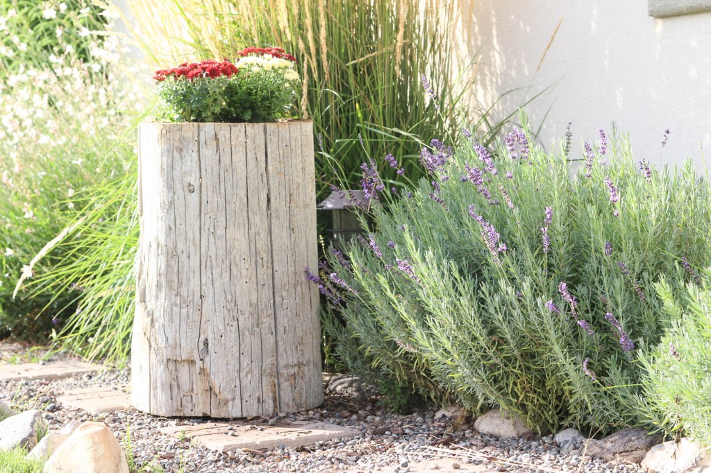 How To Make A Log Planter