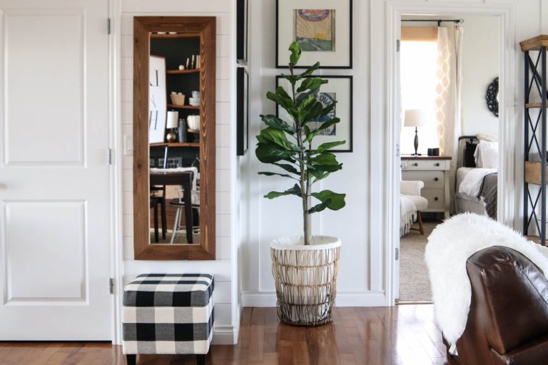 How To Use Patterns In Decor