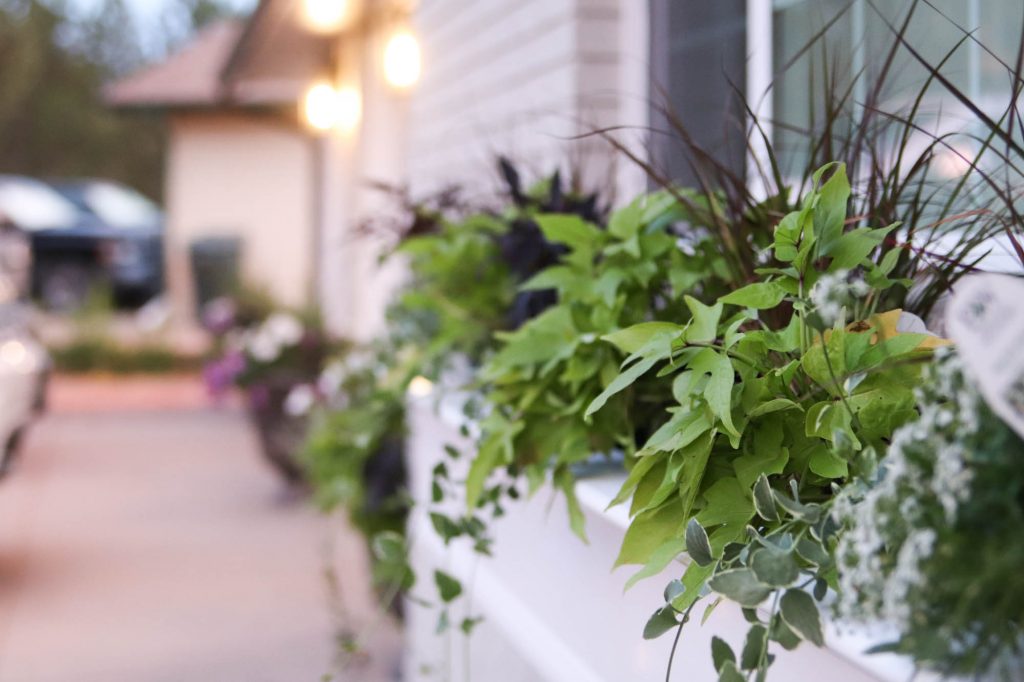 Adding A Front Window Box by The Wood Grain Cottage
