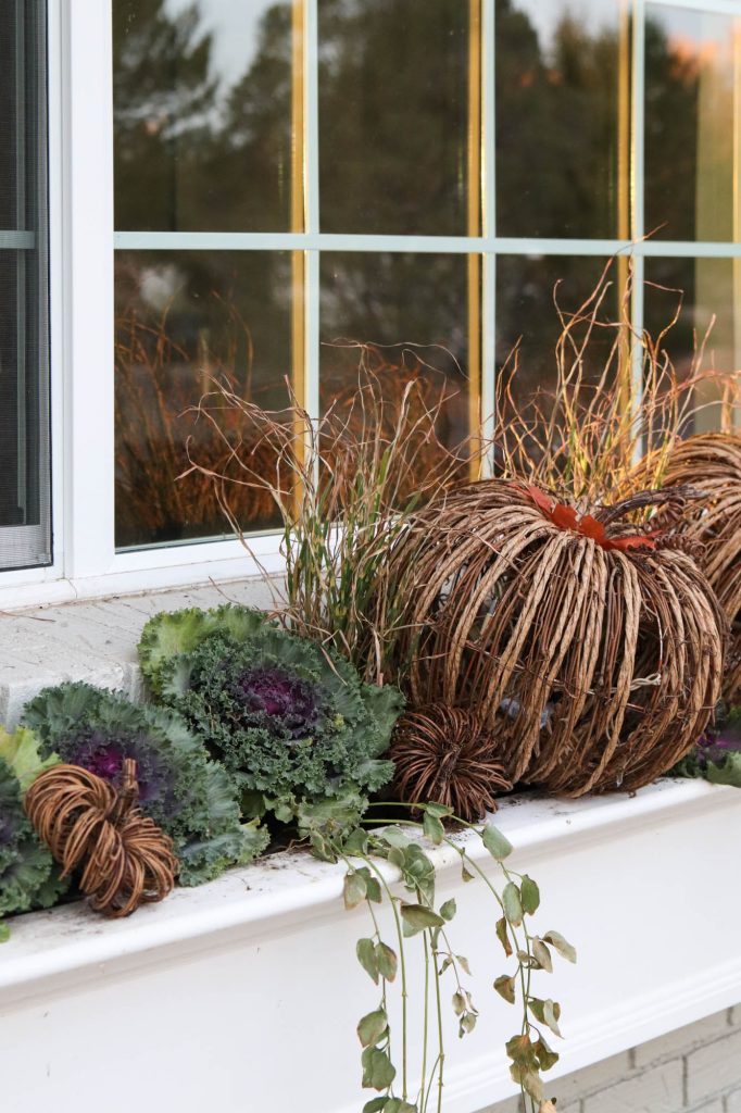 A picture of a large window box with wicker pumpkins and flowering kale with ivy coming over the sides. 