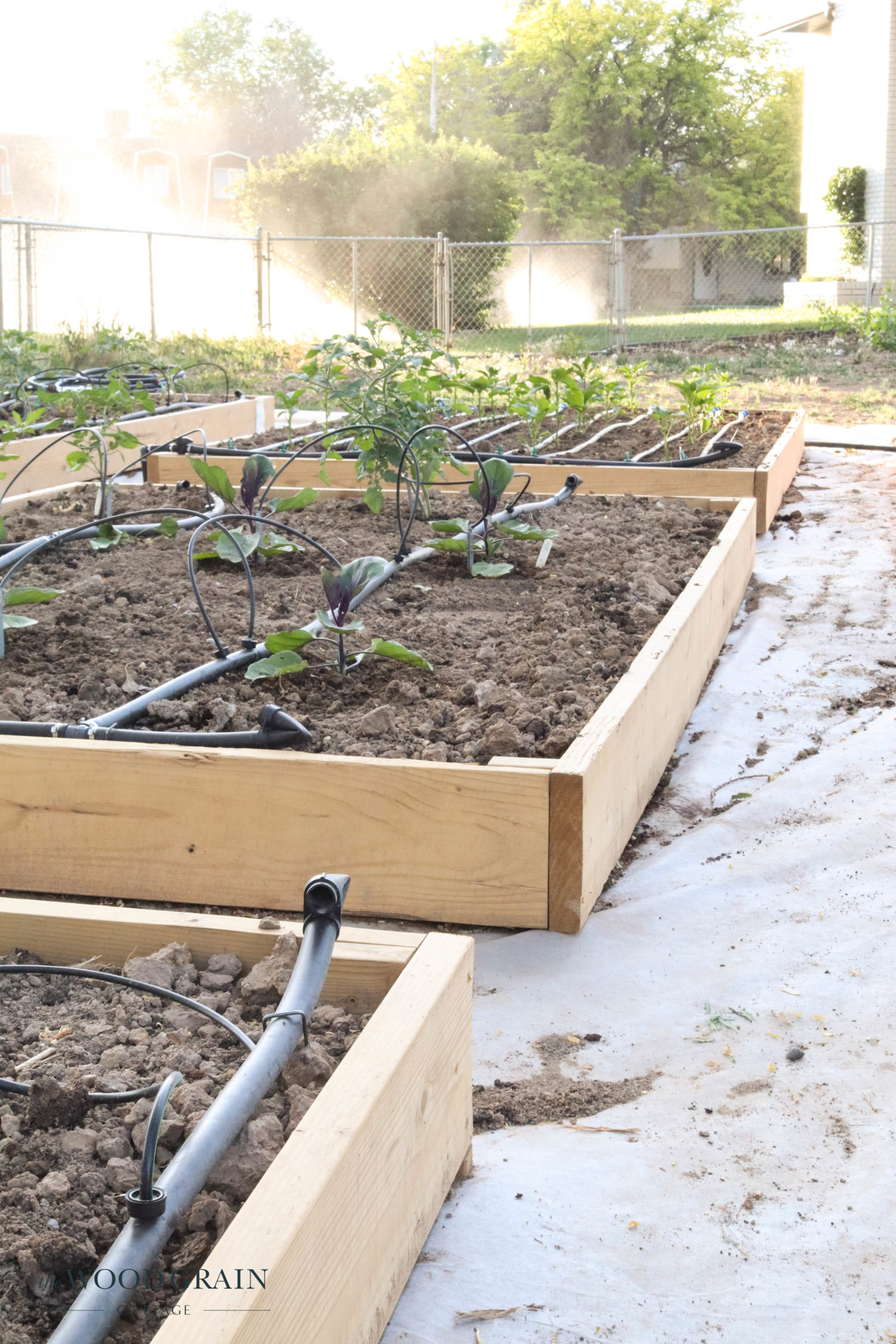 Building Raised Garden Beds