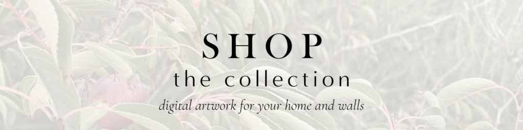 Shop our digital artwork collection.