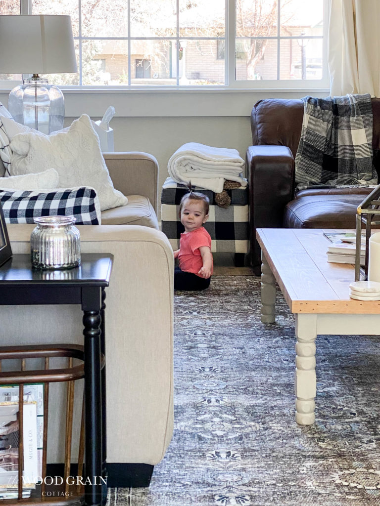 A picture of the living room with the new rug and Ania.