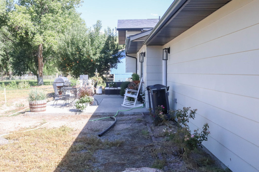 A picture showing the back of the house before the honeysuckle. 