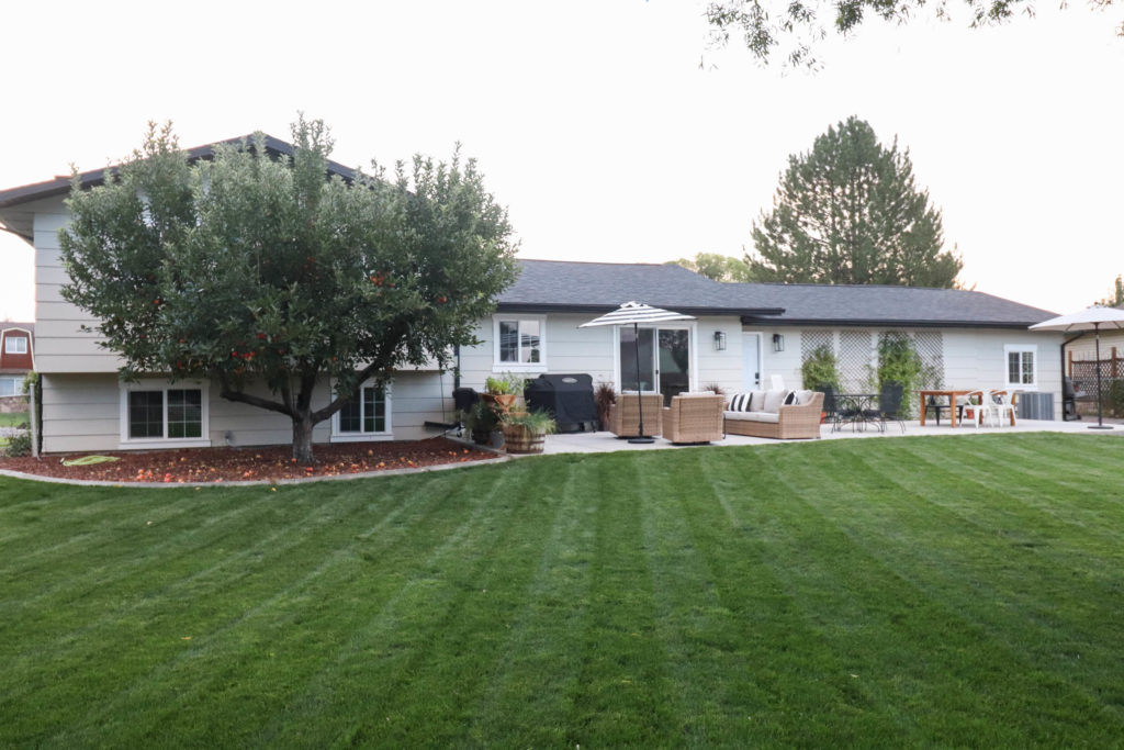 A picture of the back of the house when we finished it. 