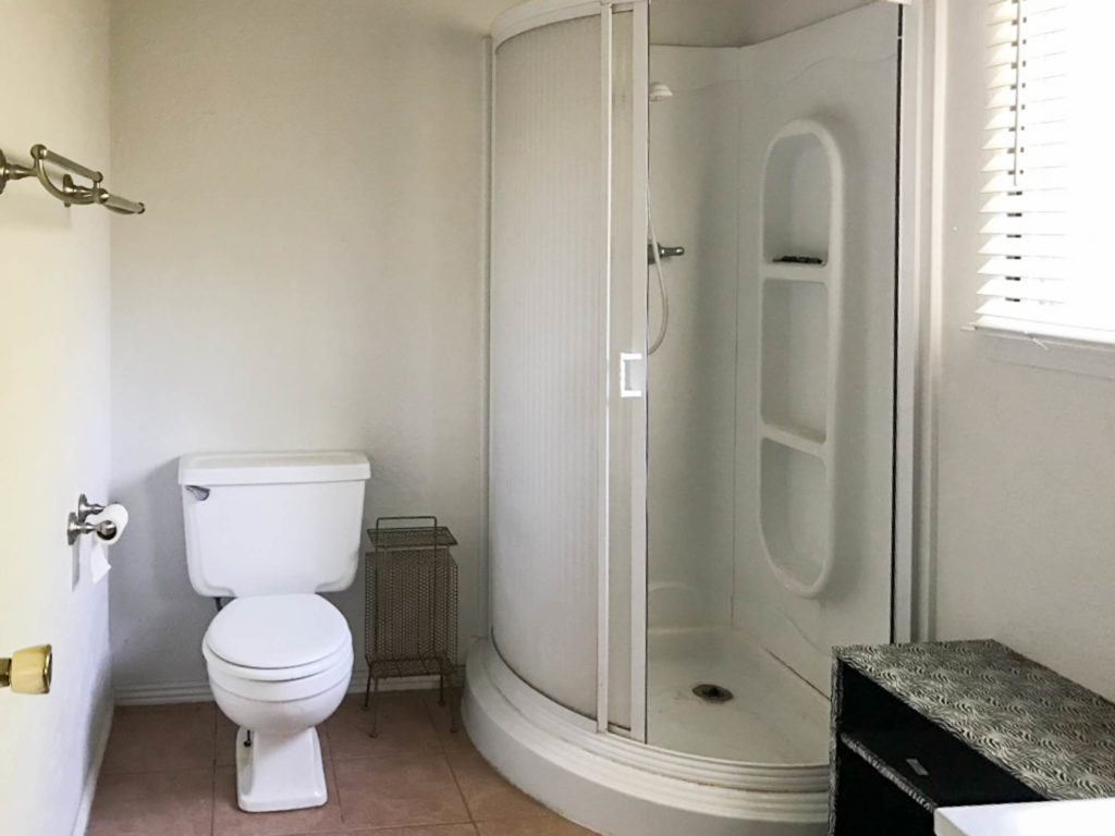 A picture of the master bathroom when we bought the house. 