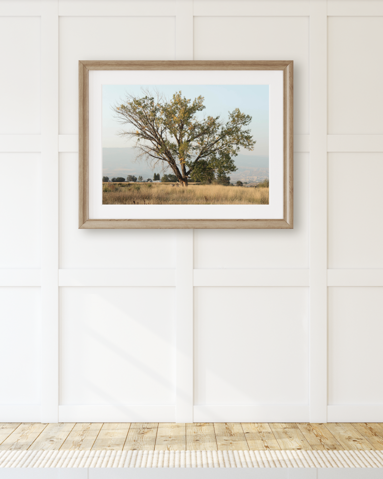 Introducing Our Digital Artwork Collection