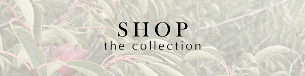 Shop Link For Our Digital Artwork Collection