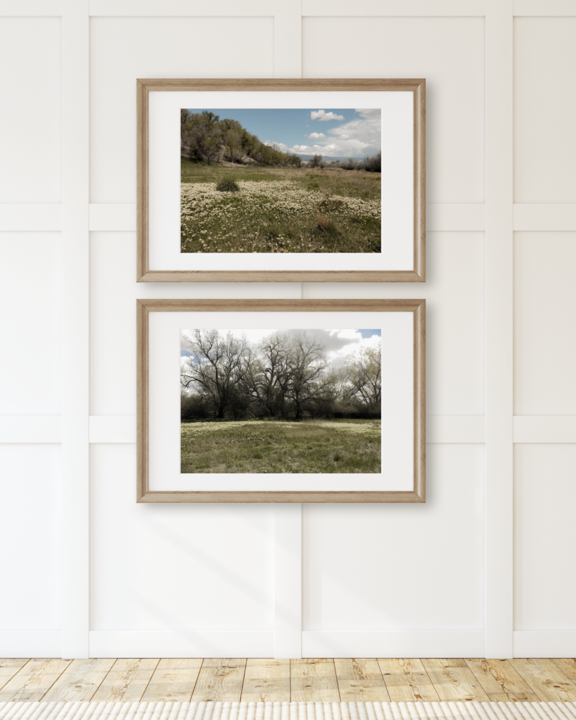 A picture showing the 'River Meadow' Collection