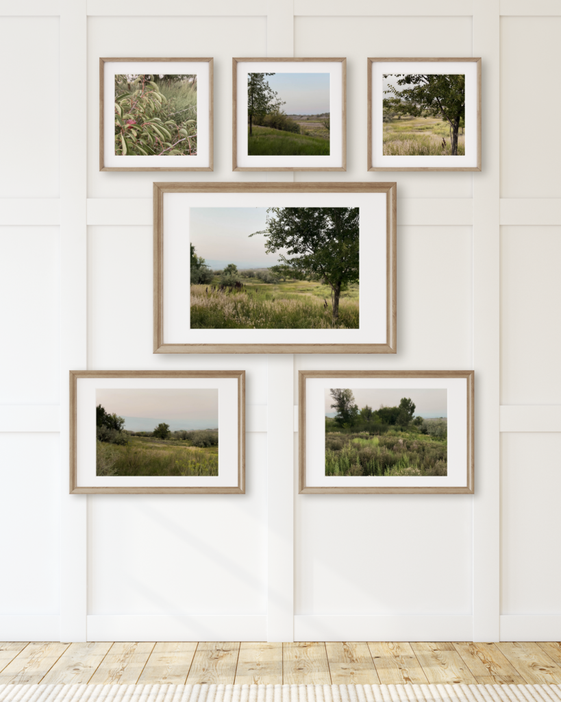 A picture showing the 'Wild Plum' Collection