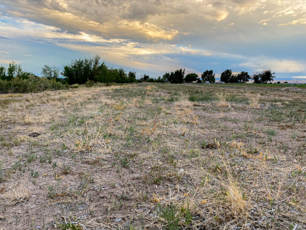 A picture of the land dedicated for our garden. 